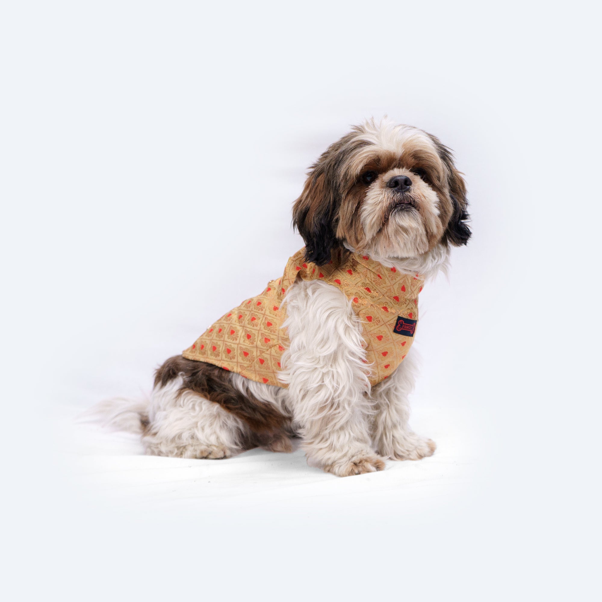 Dog Clothes| Sherwani Golden | Sizes and Colours Available| Claws N Paws