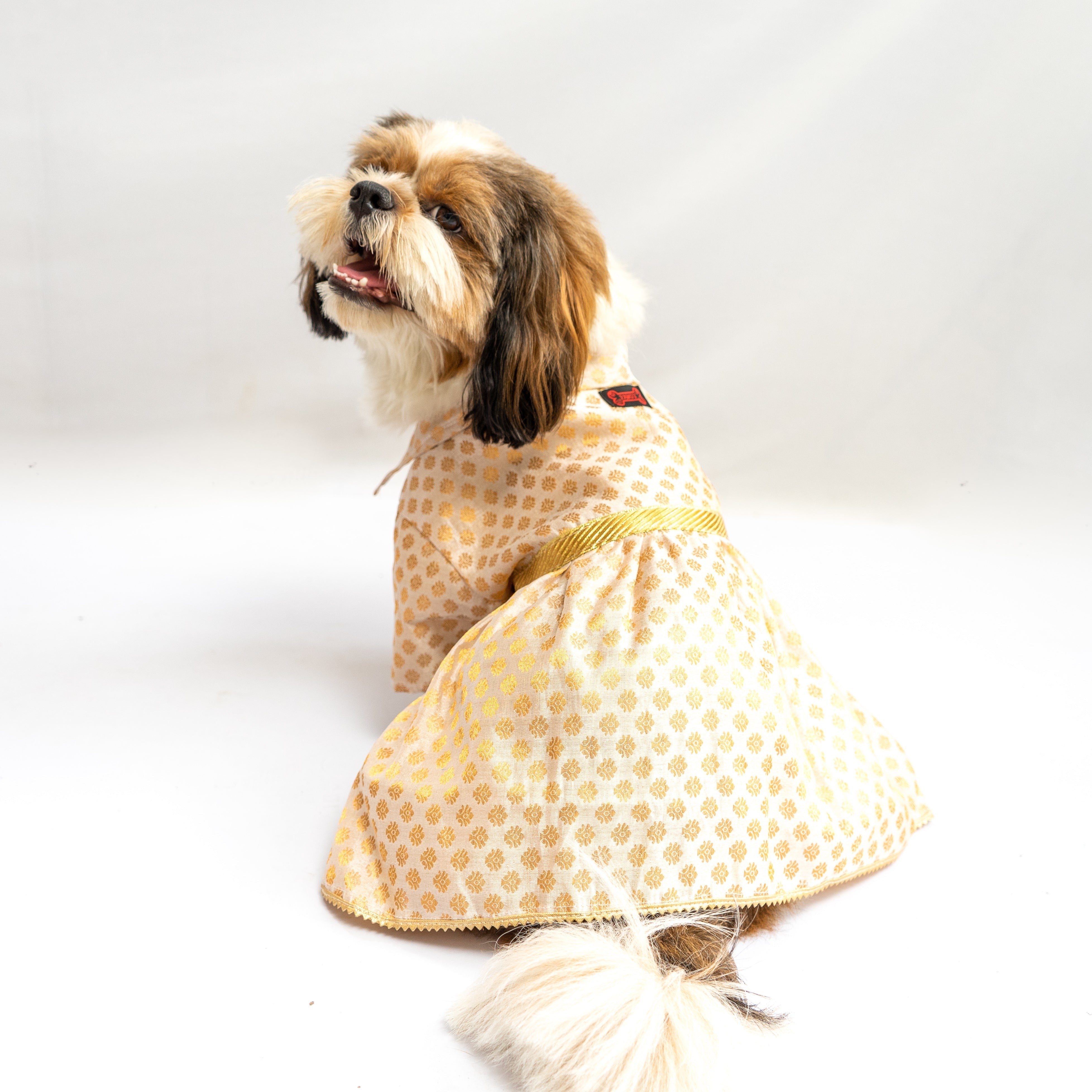 Dog Clothes| Occasion wear Dress White | Sizes and Colours Available| Claws N Paws