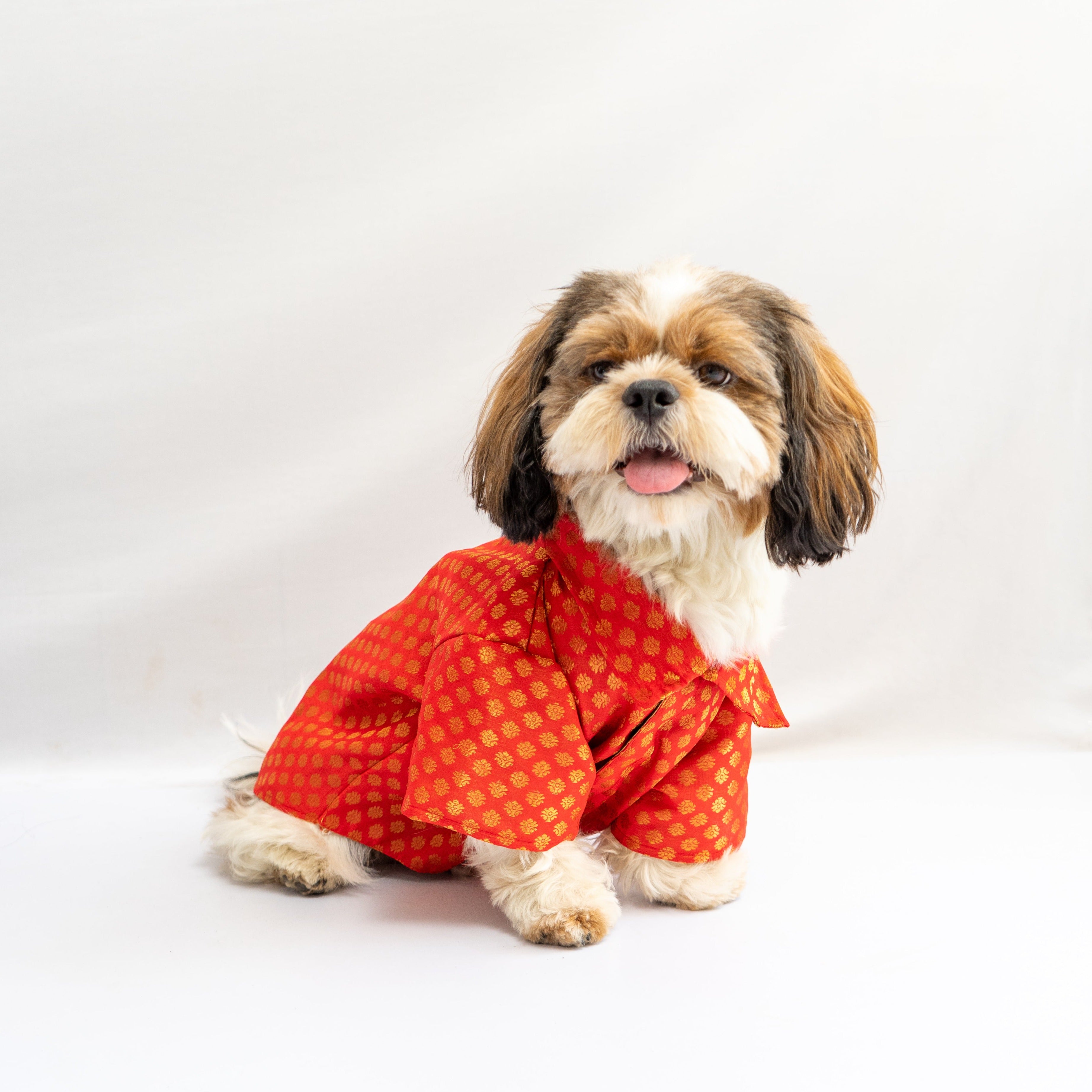 Occasion wear shirt Red