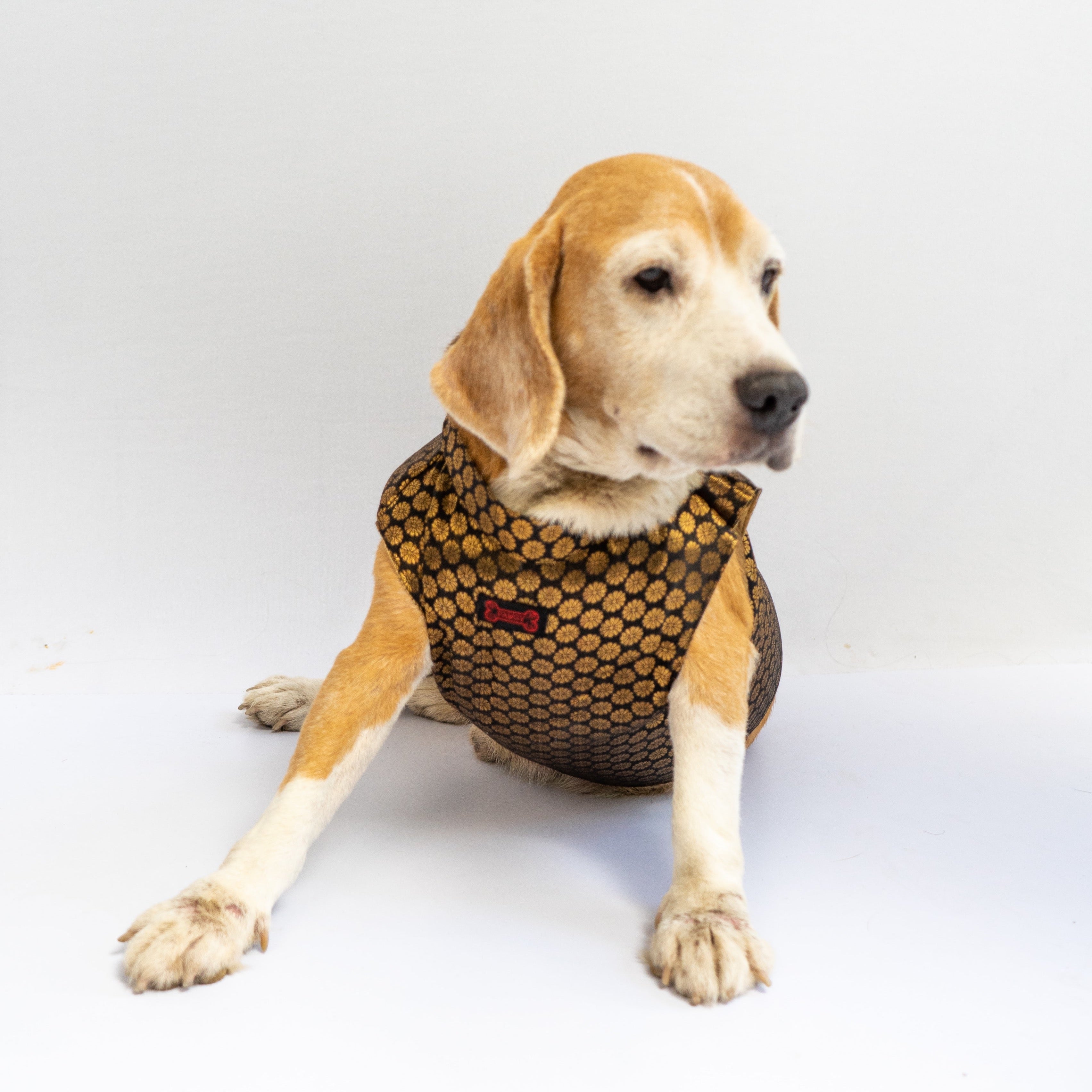 Dog Clothes| Sherwani Black | Sizes and Colours Available| Claws N Paws