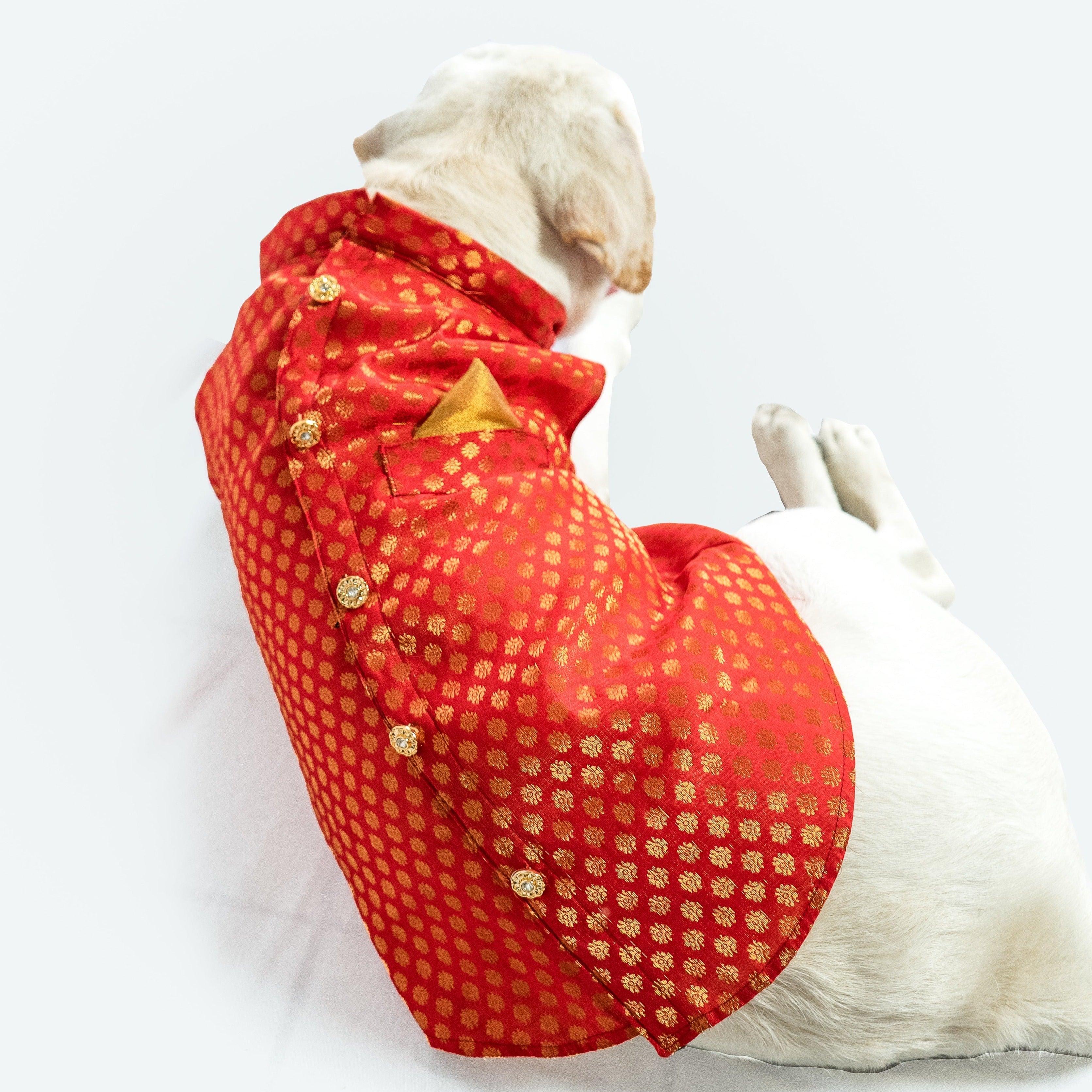 Dog Clothes| Sherwani Red | Sizes and Colours Available| Claws N Paws