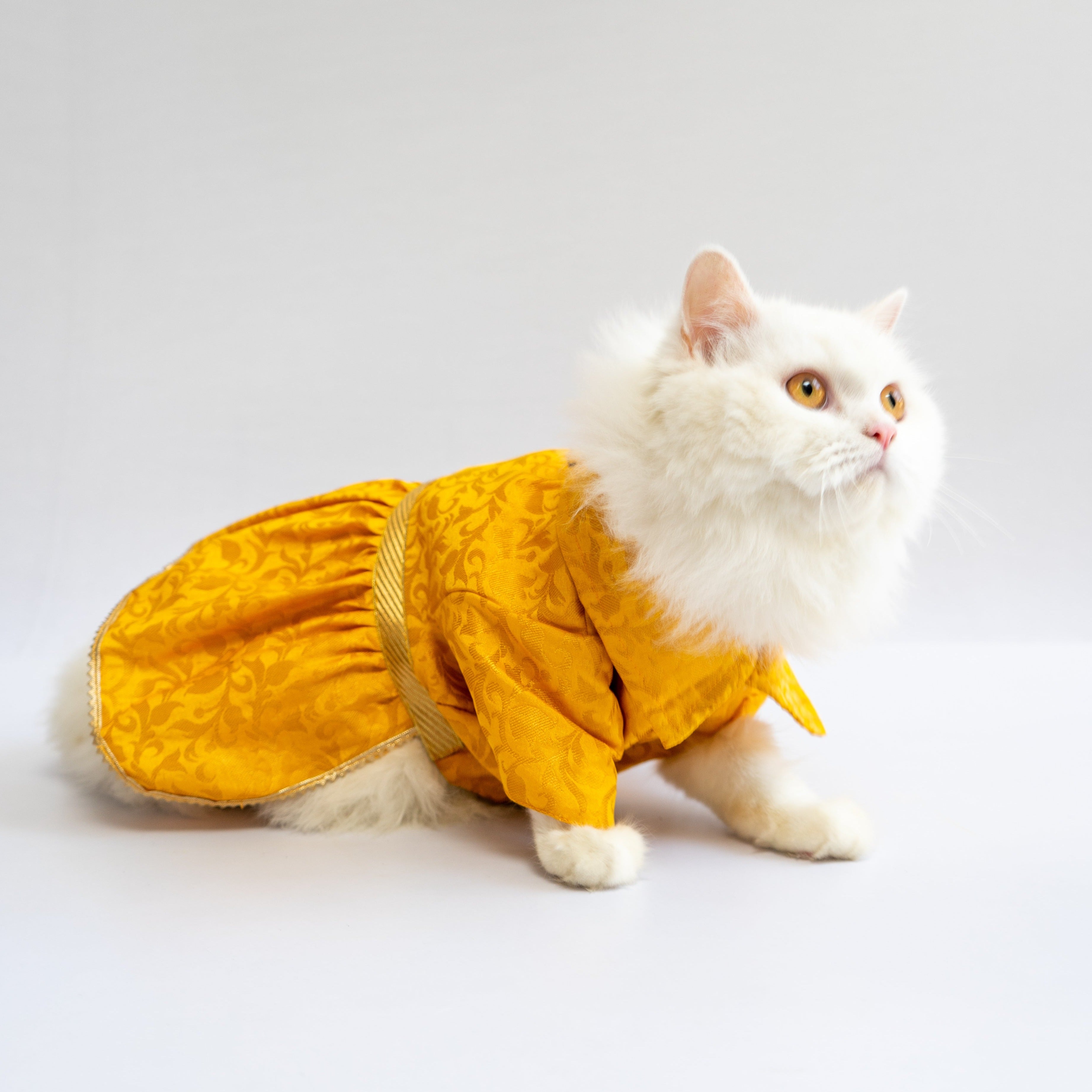 Dog Clothes| Occasion wear Dress Yellow | Sizes and Colours Available| Claws N Paws