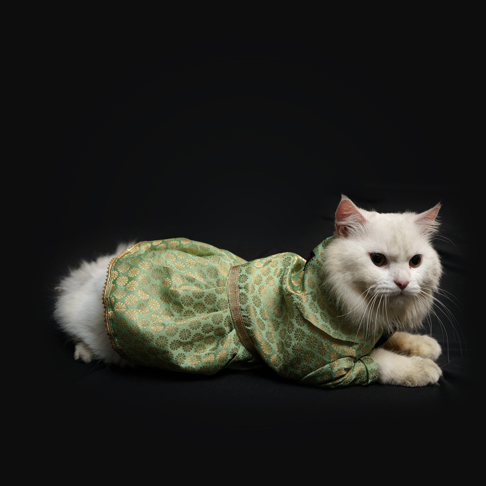 Dog Clothes| Occasion wear Dress Pista Green | Sizes and Colours Available| Claws N Paws