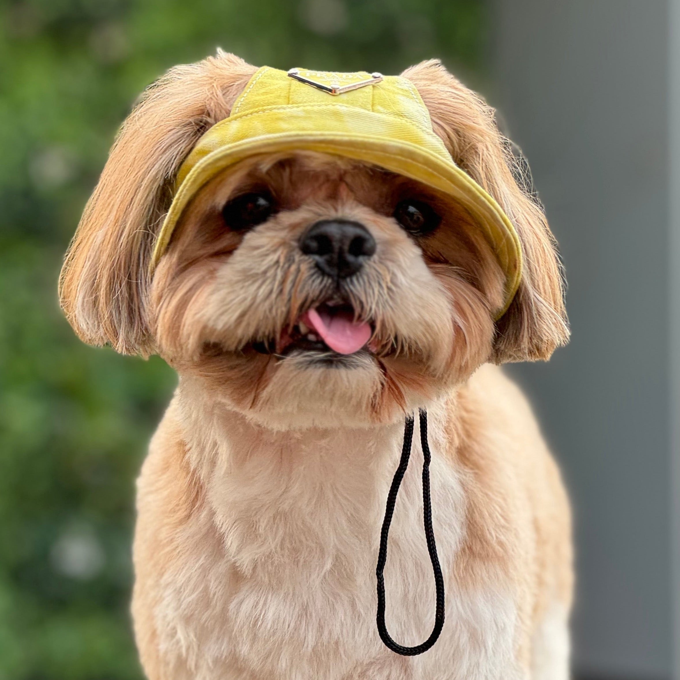 Tie & Dye Dog Bucket Hat