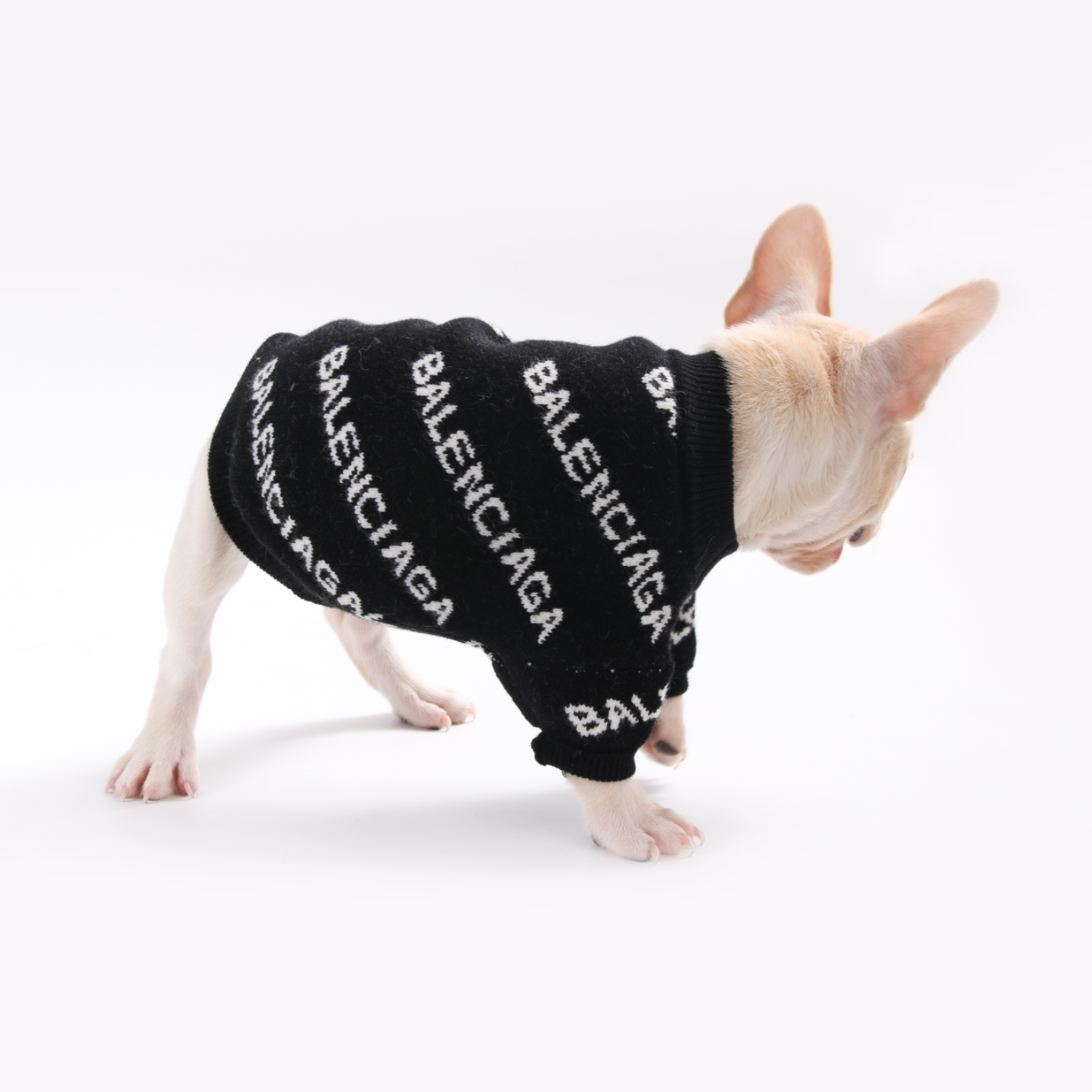 Premium Balenciaga Printed Sweater