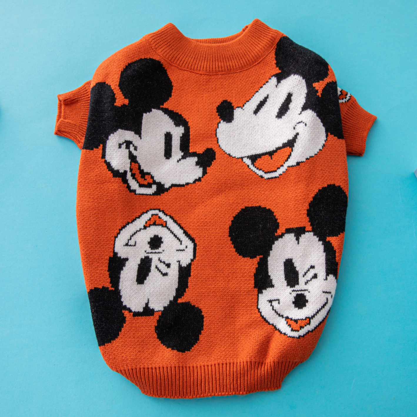 Mickey Printed Orange Sweater