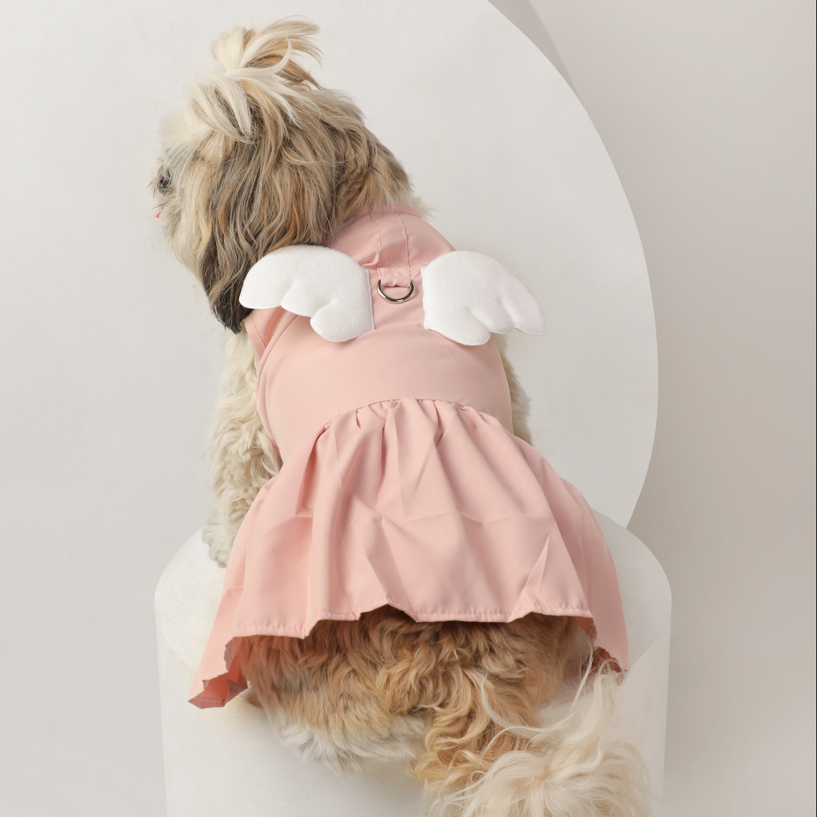 Dog Clothes| Angel Wings Pet Dress | Sizes and Colours Available| Claws N Paws