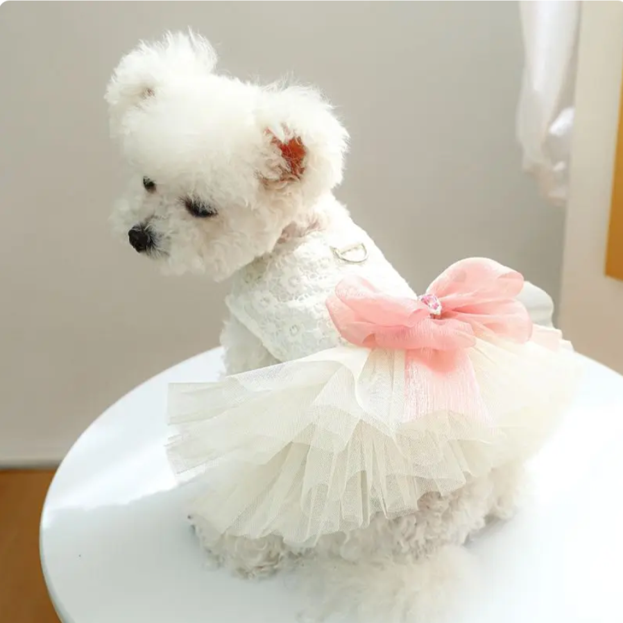Lace & Tulle Pet Wedding Dress – Elegant Dog Clothes for Special Occasions