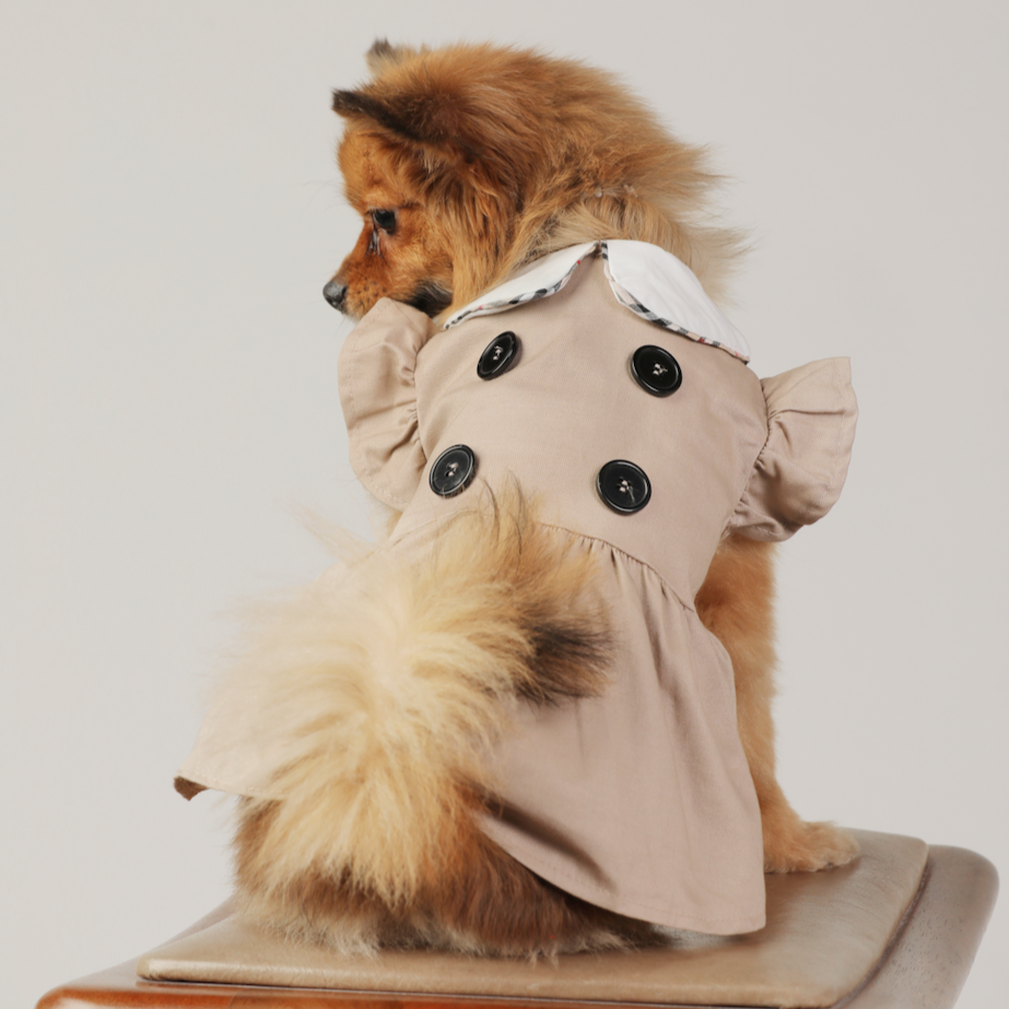 Brown Pet Dress with White Collar