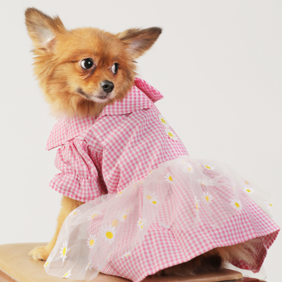 Dog Clothes| Pink Gingham Flower Dress | Sizes and Colours Available| Claws N Paws