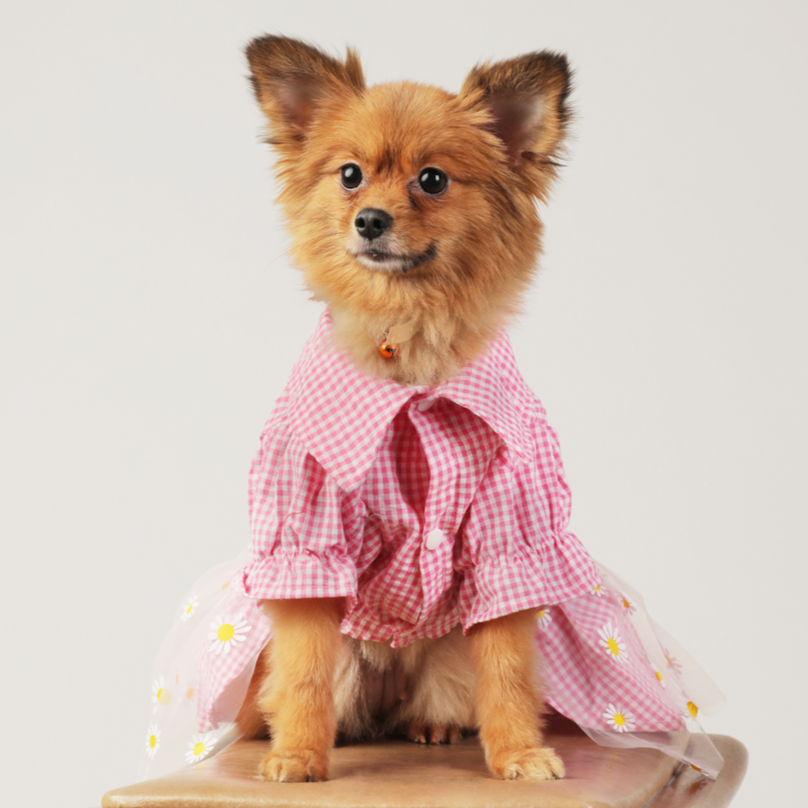 Dog Clothes| Pink Gingham Flower Dress | Sizes and Colours Available| Claws N Paws