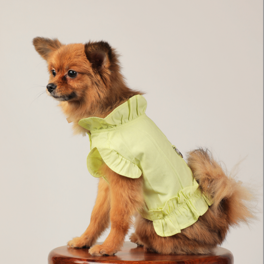 Pet Frill Shirt Style Harness