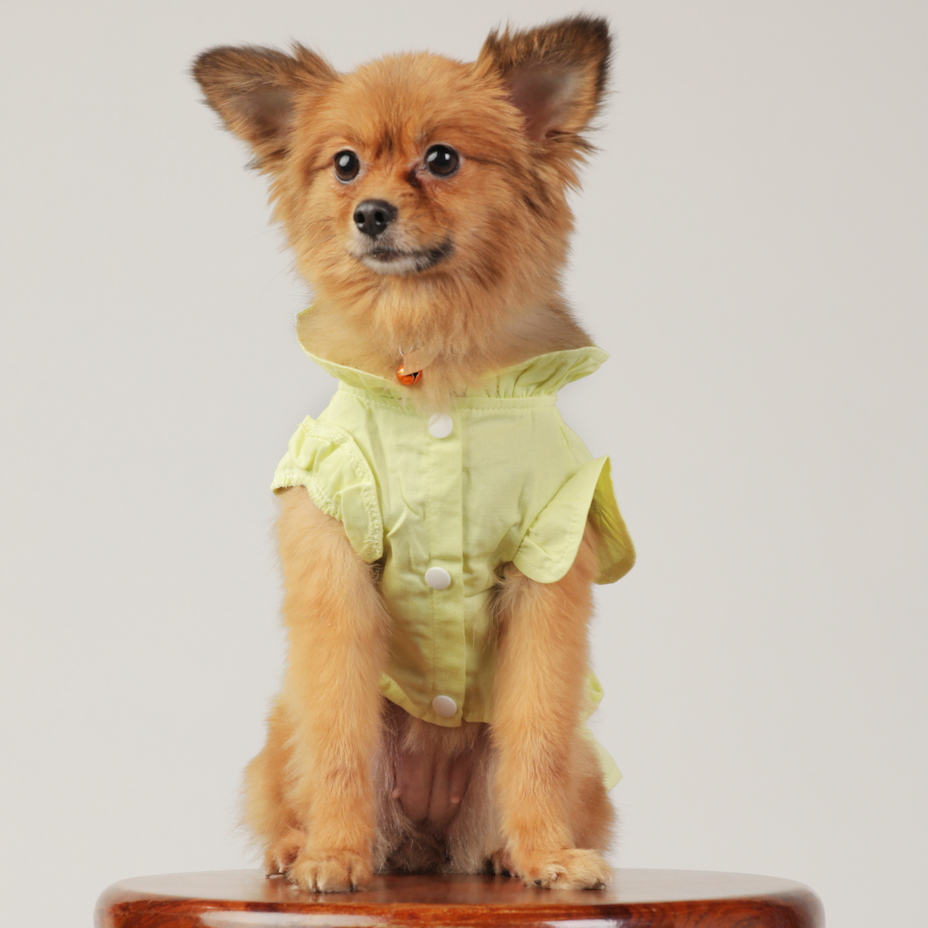 Pet Frill Shirt Style Harness