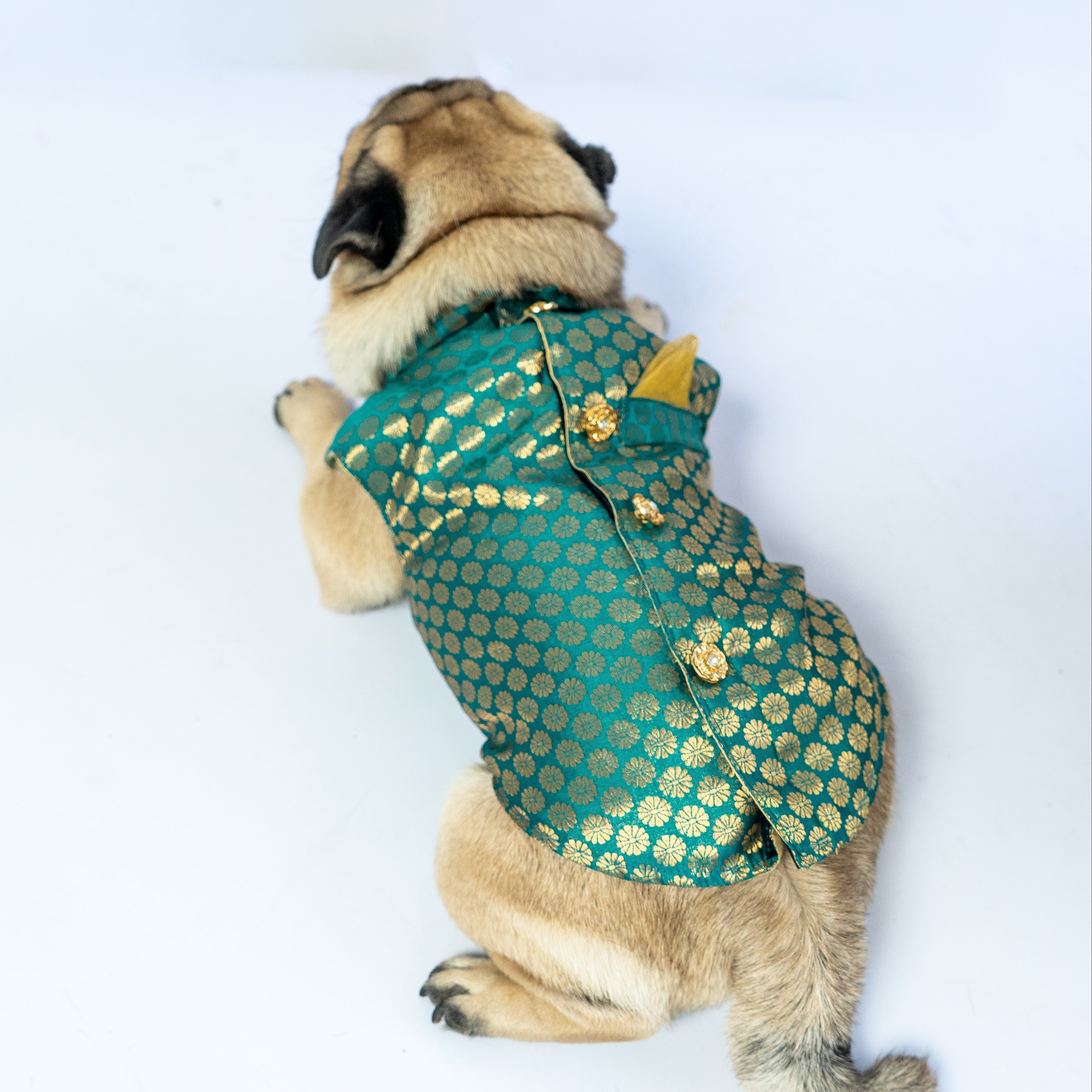 Dog Clothes| Sherwani Blue | Sizes and Colours Available| Claws N Paws