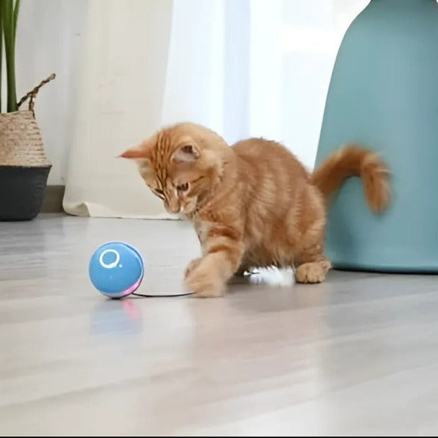 Cat Toy| LED Smart Gravitational Rotating Ball