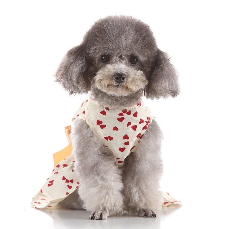 Dog Clothes| Little Heart Silk Dress | Sizes and Colours Available| Claws N Paws